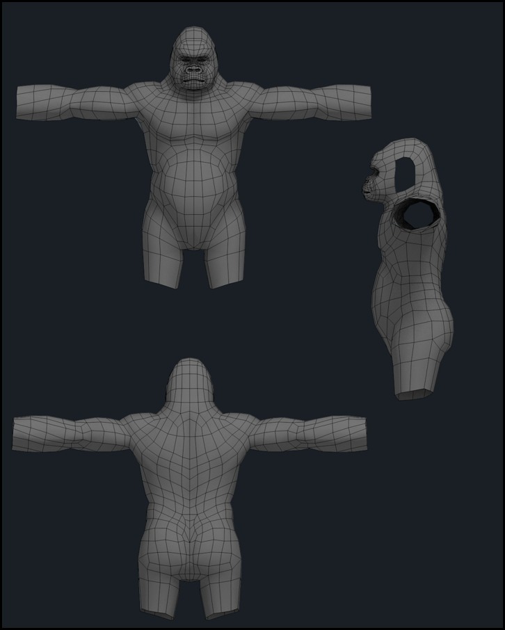 BandarSharma_Gorilla_WIP1.jpg