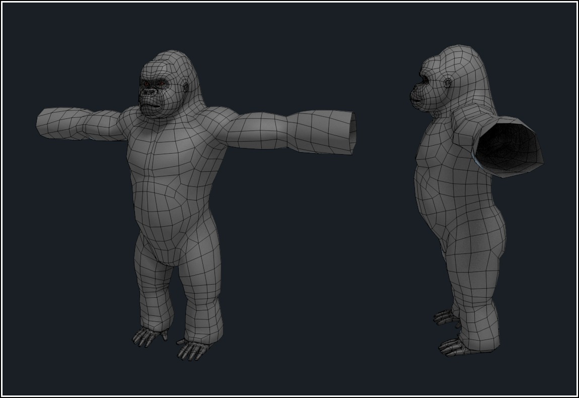 BandarSharma_Gorilla_WIP2.jpg